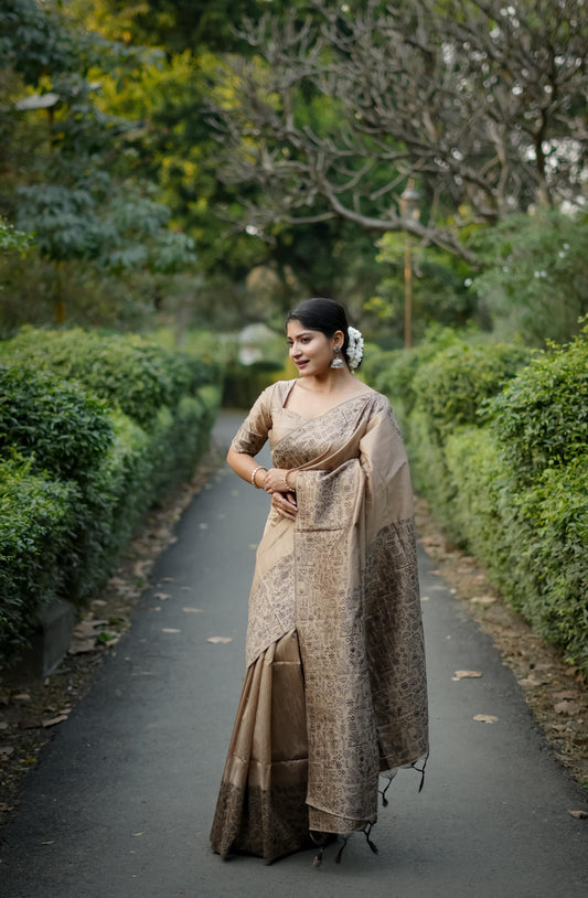 Clay Cream Handloom Woven Raw Silk Saree With Blouse Piece