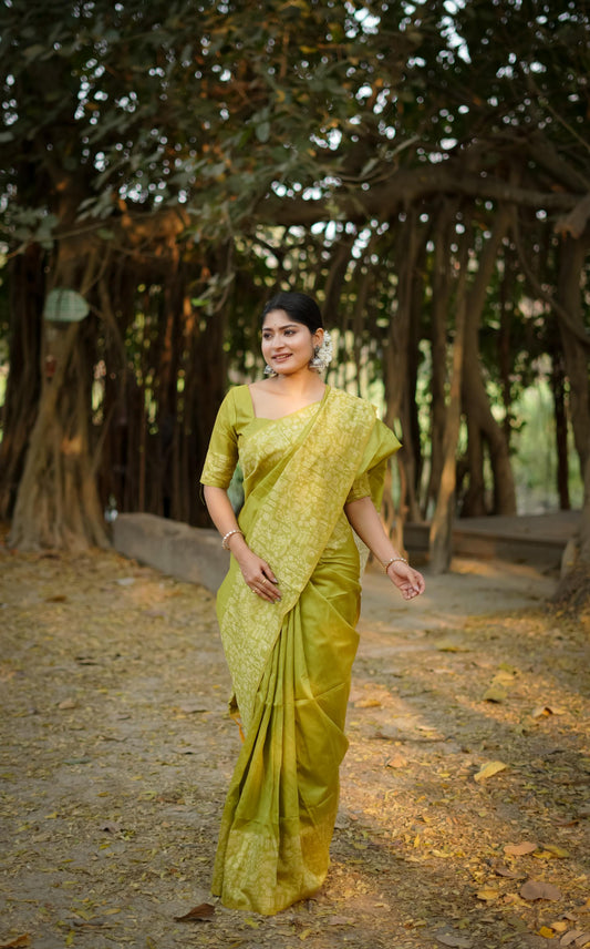 Forest Parrot Handloom Woven Raw Silk Saree With Blouse Piece