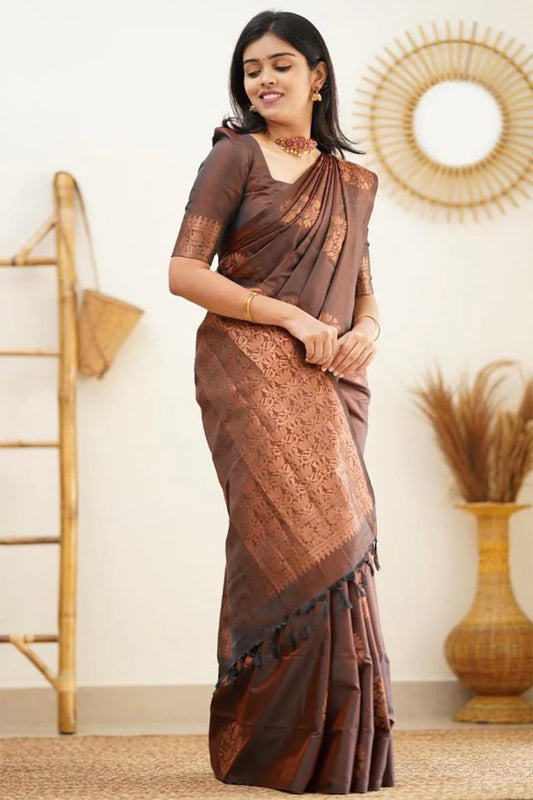 Brown Soft Silk Saree With Demure Blouse Piece